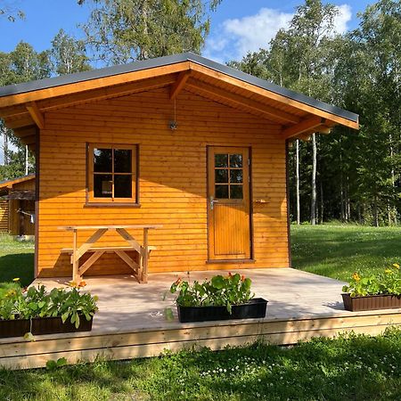 Marika Puhkekuela - Metsanurga Oeoemaja "Shared Bathroom" Nova Exteriör bild