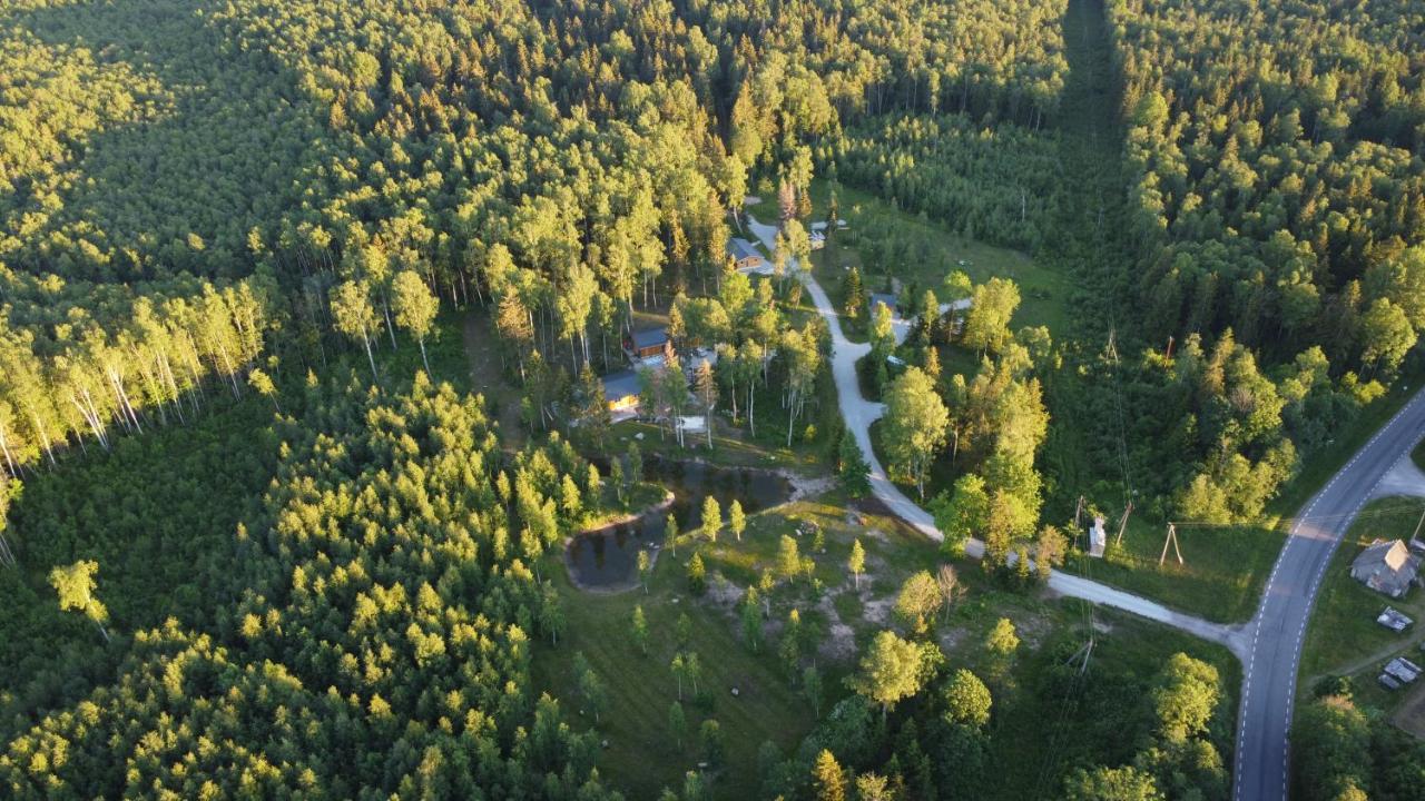Marika Puhkekuela - Metsanurga Oeoemaja "Shared Bathroom" Nova Exteriör bild