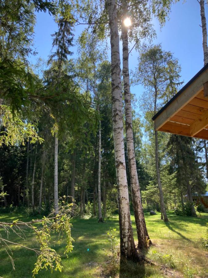 Marika Puhkekuela - Metsanurga Oeoemaja "Shared Bathroom" Nova Exteriör bild